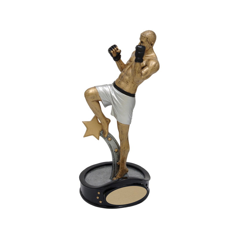 Martial Arts Resins