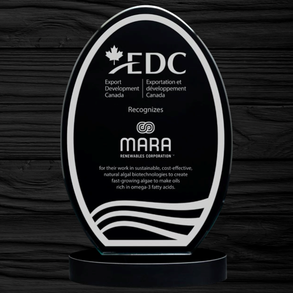 Blacklin Series - Zeppelin Glass Award