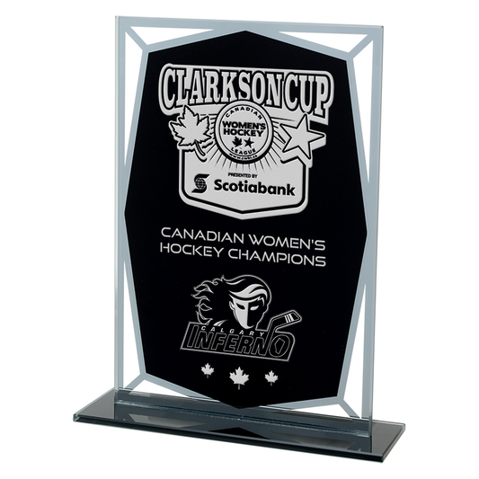 Black Mirror Series - Cape Spear Glass Award