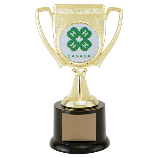 Challenge Cup Custom Trophy
