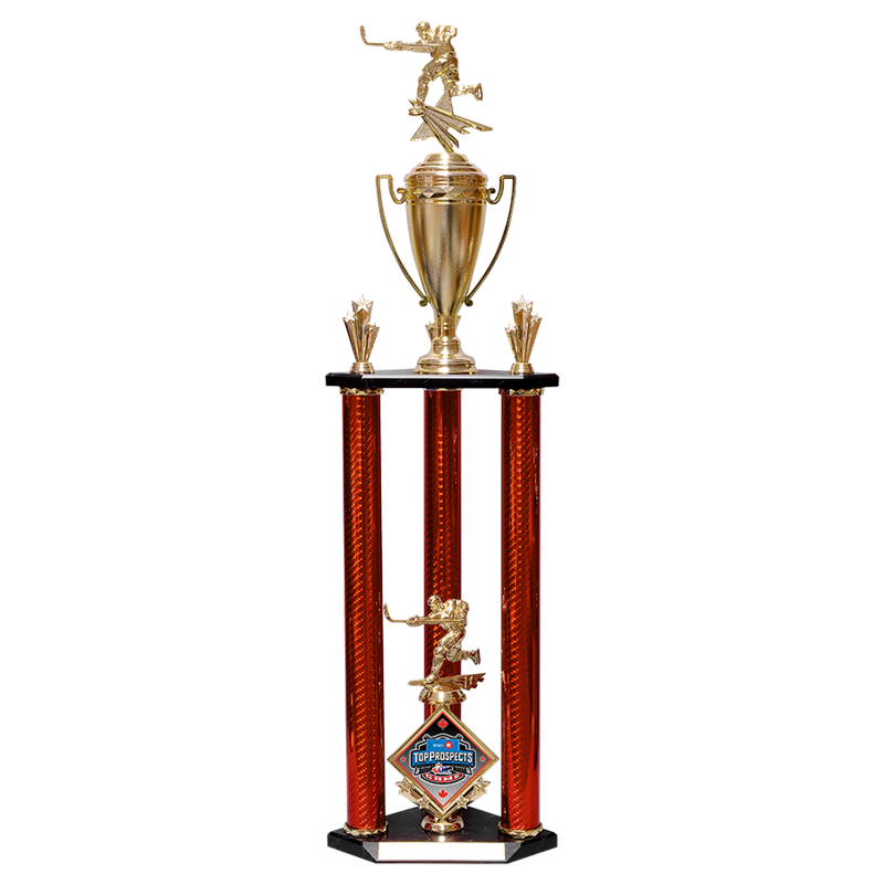 Double 3 Post Trophy with Cup and Wood Base