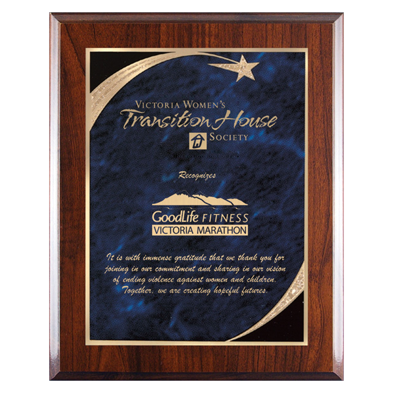 Shooting Star Art Plaque