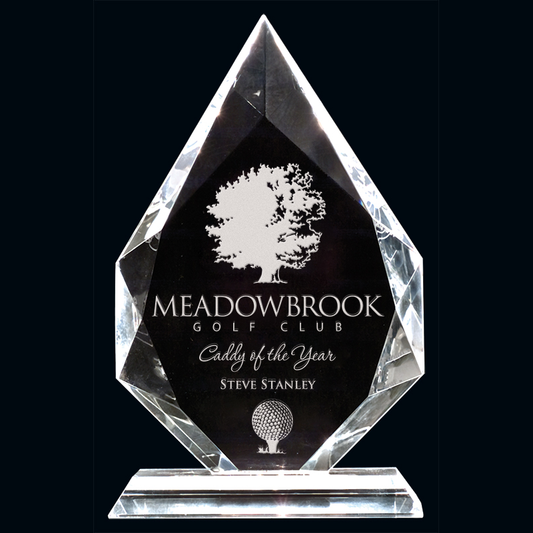 Southampton Crystal Award