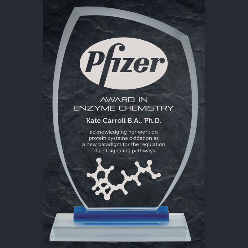 Blue Glass Series - St Thomas Award