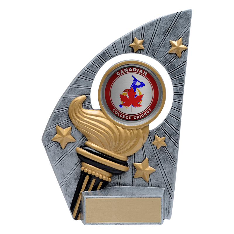 Stadium Custom Resin Award