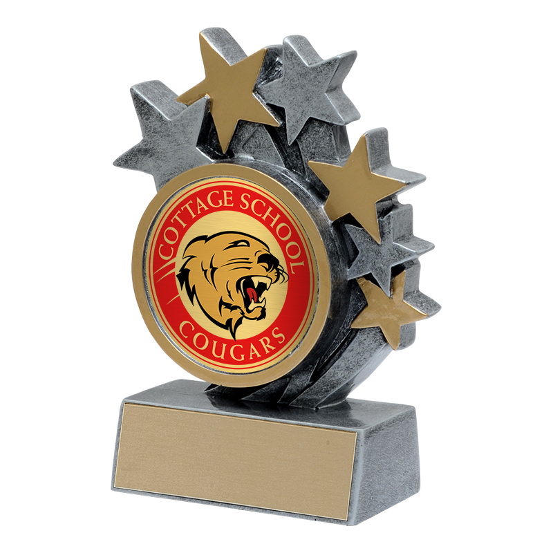 Star Blast Custom Resin Award