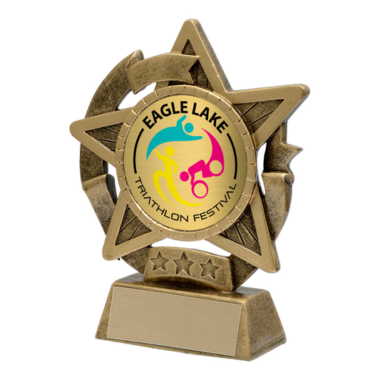 Star Gazer Custom Resin Award