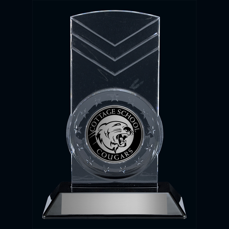 Snap-In Series - Star Shield Custom Acrylic Award