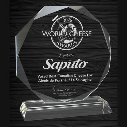 Hemisphere Crystal Award