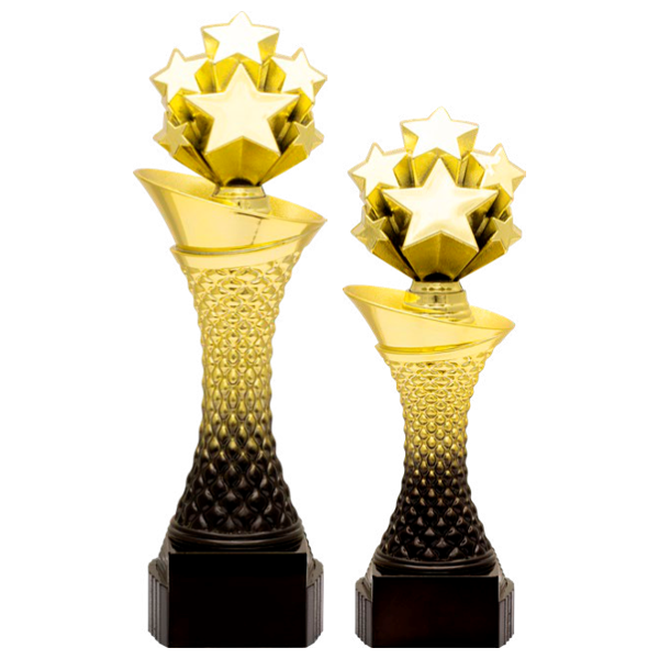 Valour Trophy - All-Star