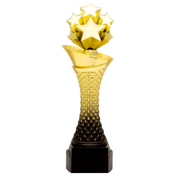 Valour Trophy - All-Star