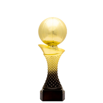 Valour Trophy - Basketball