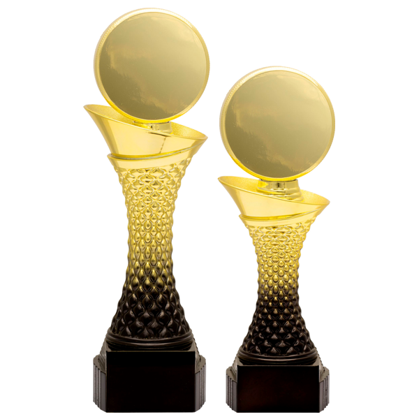 Valour Trophy - Hockey