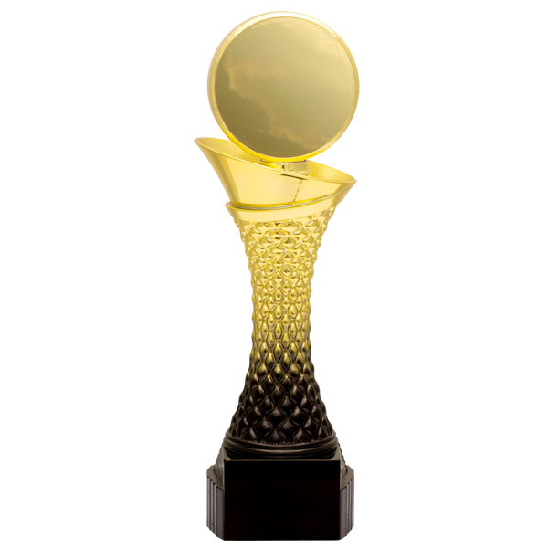 Valour Trophy - Hockey