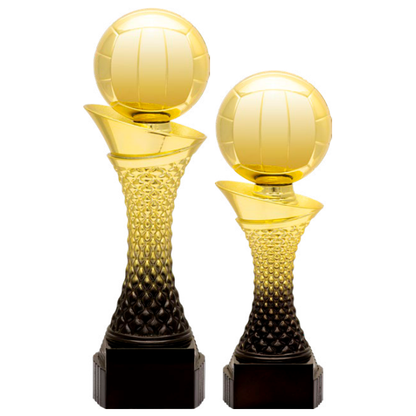 Valour Trophy - Volleyball