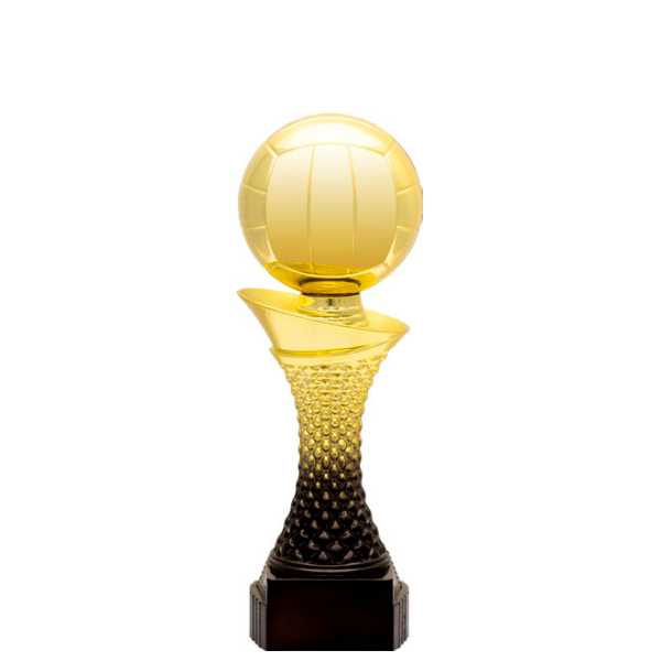 Valour Trophy - Volleyball