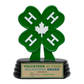4H Canada Resin Award
