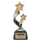 Ascension Star Resin Award