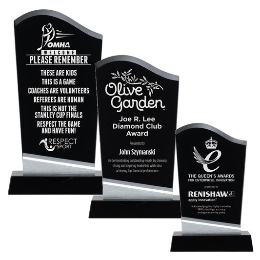 Black & Aluminum Series - Denali Glass Award