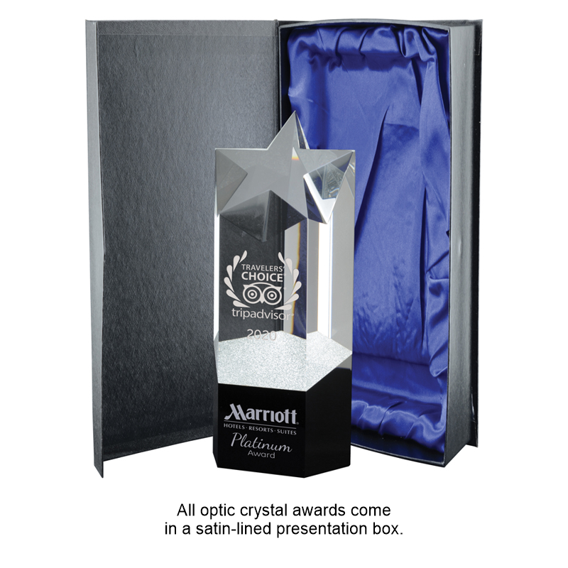 Black Series - Pioneer Crystal Award