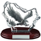 Iceberg Series - Eagle in Flight Glass Award