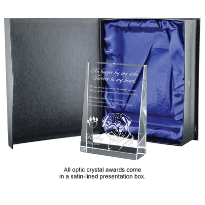 Wedge Series - Panoramic Crystal Award