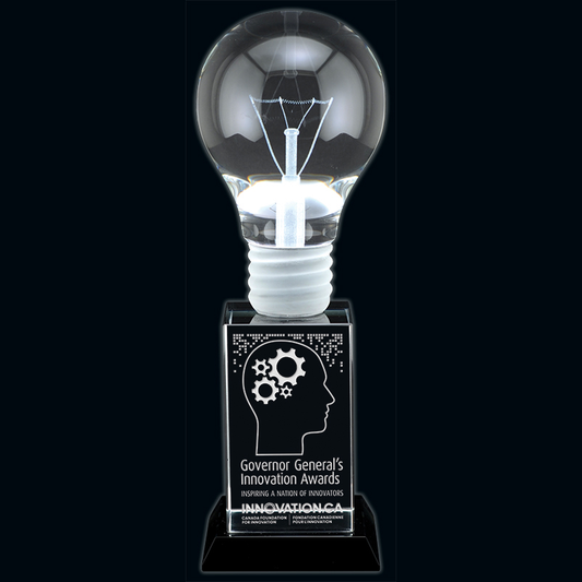 Black Series - Pioneer Crystal Award