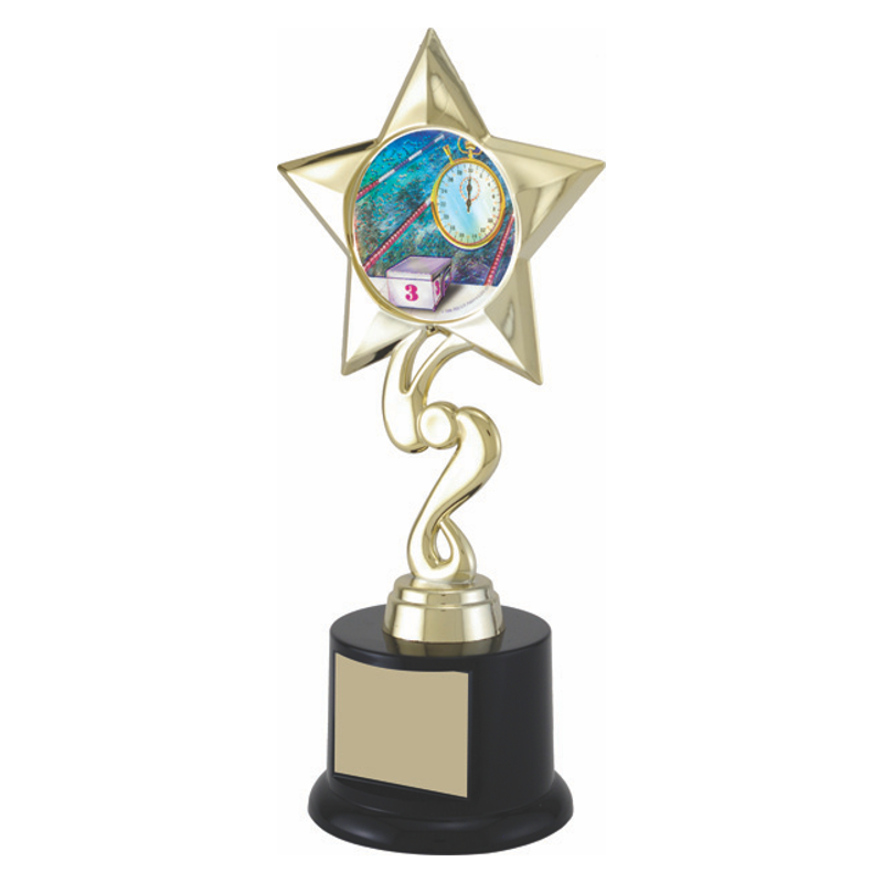 Simple Star Custom Trophy