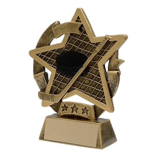 Star Gazer Resin Award - Hockey