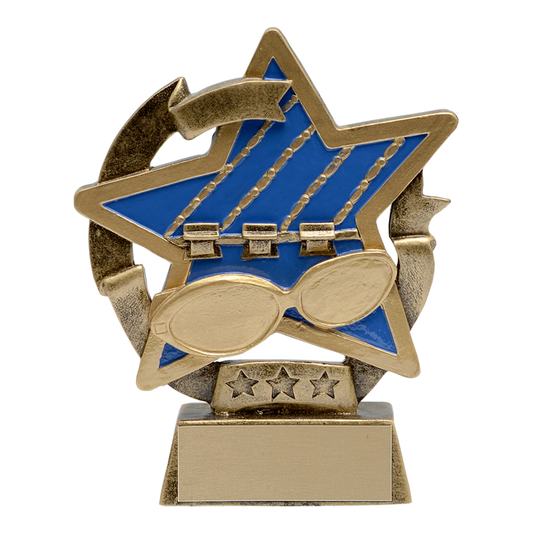 Star Gazer Resin Award - Swimming