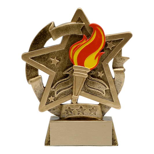 Star Gazer Resin Award - Victory