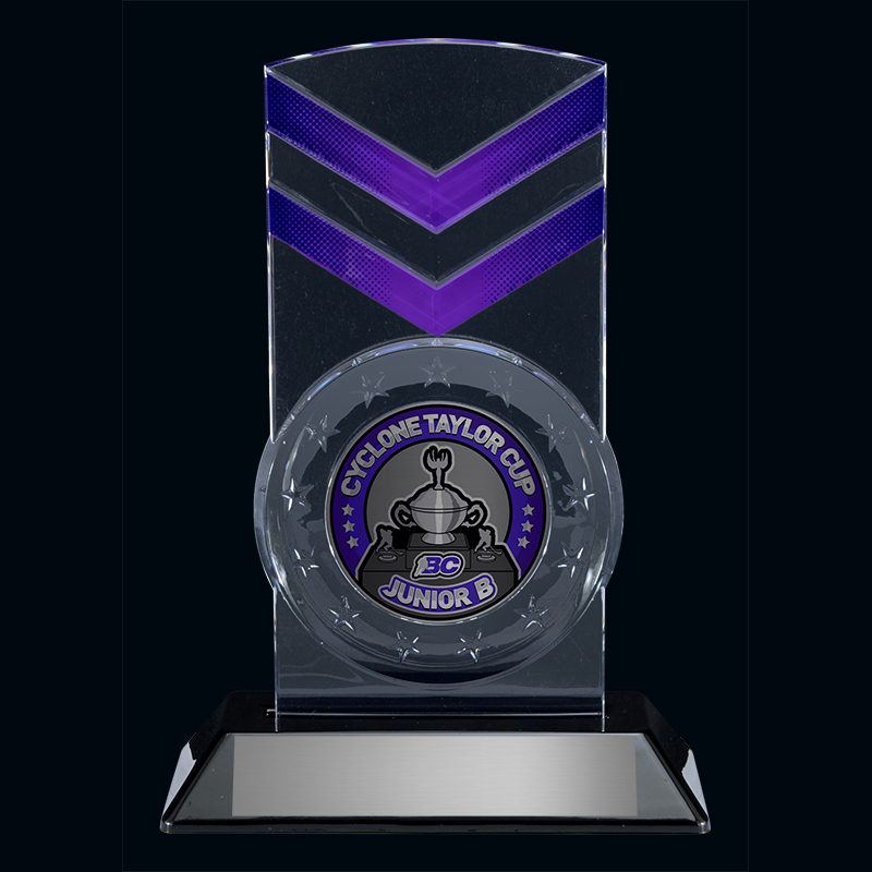 Snap-In Series - Star Shield Custom Acrylic Award