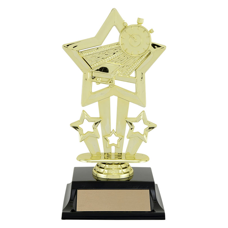 Trinity Figure Trophy - Swimming – The Engravers