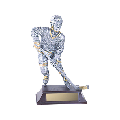Vintage Player Resin Award - Hockey (2)